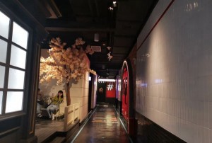 杭州高端娱乐体验：2000元豪华KTV包厢探索